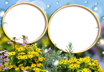 Photo effect from category Women's photo frames № 146355 Photo effect from category Women's photo frames № 146355