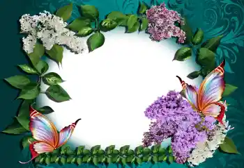Photo effect from category Women's photo frames № 146371 Photo effect from category Women's photo frames № 146371
