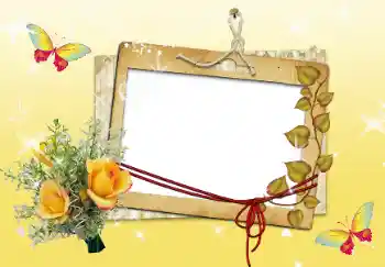 Photo effect from category Women's photo frames № 14916