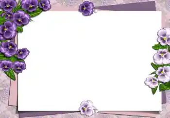 Photo effect from category Women's photo frames № 149194