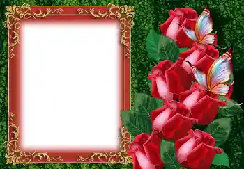 Photo effect from category Women's photo frames № 149219 Photo effect from category Women's photo frames № 149219