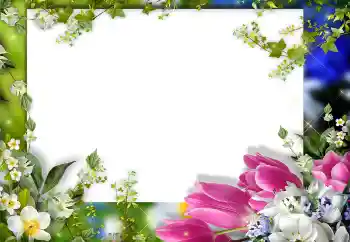 Photo effect from category Women's photo frames № 149325 Photo effect from category Women's photo frames № 149325