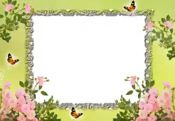 Photo effect from category Women's photo frames № 15015