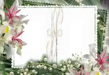 Photo effect from category Women's photo frames № 15027