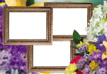 Photo effect from category Women's photo frames № 150537 Photo effect from category Women's photo frames № 150537