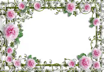 Photo effect from category Women's photo frames № 150641