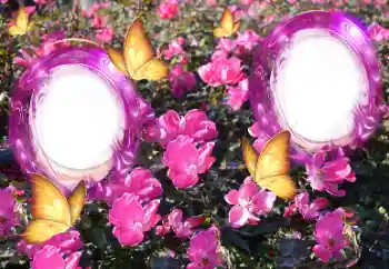 Photo effect from category Women's photo frames № 151815