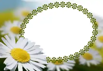 Photo effect from category Women's photo frames № 152966 Photo effect from category Women's photo frames № 152966