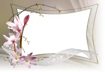 Photo effect from category Women's photo frames № 153036 Photo effect from category Women's photo frames № 153036