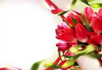 Photo effect from category Women's photo frames № 153228