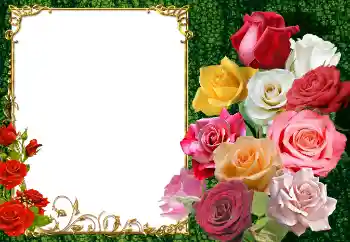 Photo effect from category Women's photo frames № 154447 Photo effect from category Women's photo frames № 154447