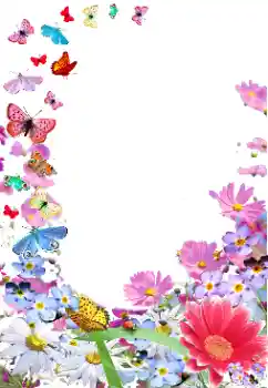 Photo effect from category Women's photo frames № 154470 Photo effect from category Women's photo frames № 154470