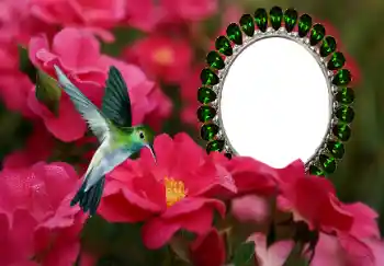 Photo effect from category Women's photo frames № 154585