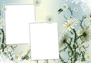 Photo effect from category Women's photo frames № 154786 Photo effect from category Women's photo frames № 154786