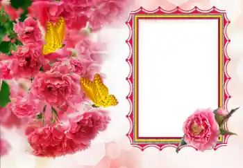 Photo effect from category Women's photo frames № 155792