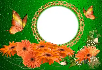 Photo effect from category Women's photo frames № 155817 Photo effect from category Women's photo frames № 155817