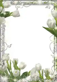 Photo effect from category Women's photo frames № 155849 Photo effect from category Women's photo frames № 155849