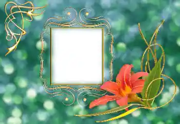 Photo effect from category Women's photo frames № 155869 Photo effect from category Women's photo frames № 155869