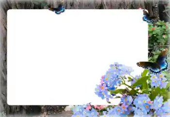 Photo effect from category Women's photo frames № 155873 Photo effect from category Women's photo frames № 155873