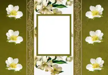 Photo effect from category Women's photo frames № 155880 Photo effect from category Women's photo frames № 155880