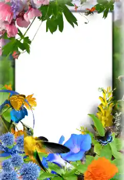 Photo effect from category Women's photo frames № 155924 Photo effect from category Women's photo frames № 155924