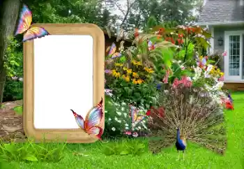 Photo effect from category Women's photo frames № 155936 Photo effect from category Women's photo frames № 155936