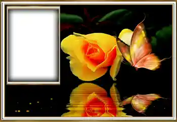 Photo effect from category Women's photo frames № 155958 Photo effect from category Women's photo frames № 155958