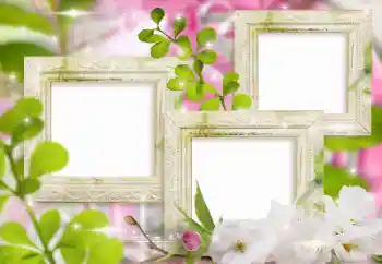 Photo effect from category Women's photo frames № 155999 Photo effect from category Women's photo frames № 155999