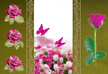 Photo effect from category Women's photo frames № 156050