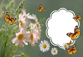 Photo effect from category Women's photo frames № 157064