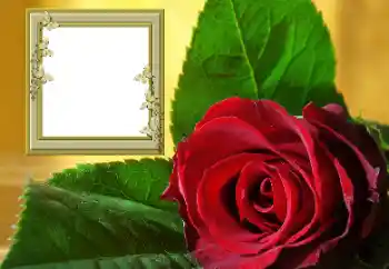 Photo effect from category Women's photo frames № 157088