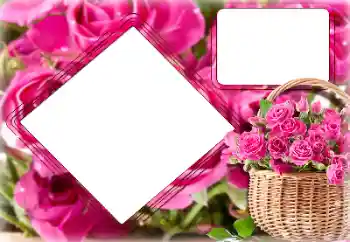 Photo effect from category Women's photo frames № 157091 Photo effect from category Women's photo frames № 157091