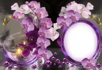 Photo effect from category Women's photo frames № 157222 Photo effect from category Women's photo frames № 157222