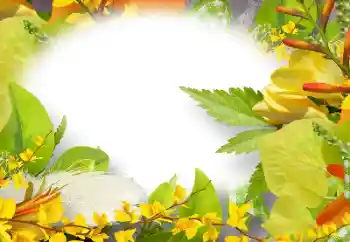 Photo effect from category Women's photo frames № 158274