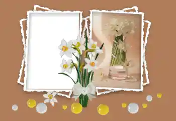 Photo effect from category Women's photo frames № 158348 Photo effect from category Women's photo frames № 158348