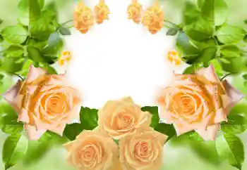 Photo effect from category Women's photo frames № 158383 Photo effect from category Women's photo frames № 158383