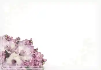 Photo effect from category Women's photo frames № 15911