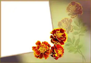 Photo effect from category Women's photo frames № 160560 Photo effect from category Women's photo frames № 160560