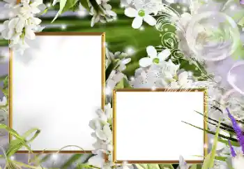 Photo effect from category Women's photo frames № 160610 Photo effect from category Women's photo frames № 160610