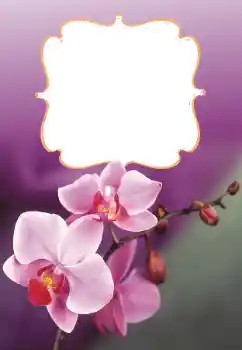 Photo effect from category Women's photo frames № 160699