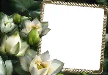Photo effect from category Women's photo frames № 160750