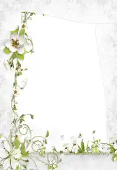 Photo effect from category Women's photo frames № 160795 Photo effect from category Women's photo frames № 160795