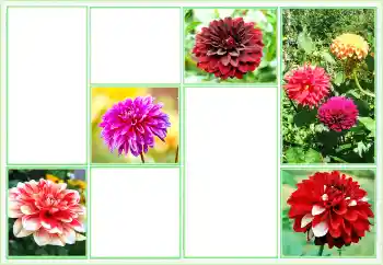 Photo effect from category Women's photo frames № 160824 Photo effect from category Women's photo frames № 160824