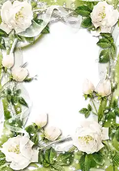 Photo effect from category Women's photo frames № 1611