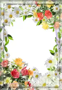Photo effect from category Women's photo frames № 1618