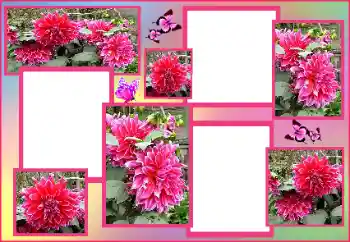 Photo effect from category Women's photo frames № 162009