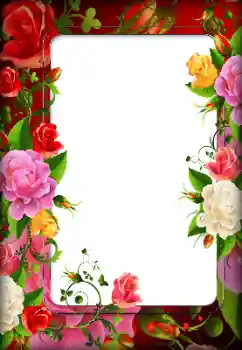 Photo effect from category Women's photo frames № 162045