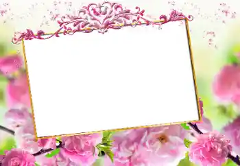 Photo effect from category Women's photo frames № 163327