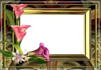 Photo effect from category Women's photo frames № 163528