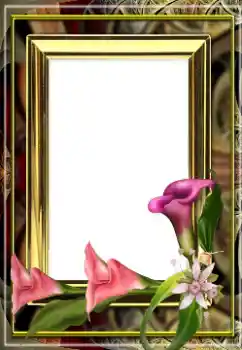 Photo effect from category Women's photo frames № 163529
